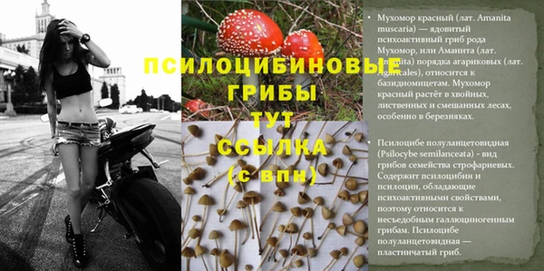 Альфа ПВП Бронницы