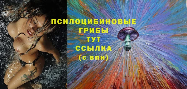 а пвп мука Бугульма