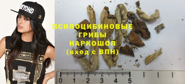 а пвп мука Бугульма
