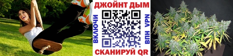 закладка Кологрив mega маркетплейс сайты даркнета как зайти Каннабис OG Kush